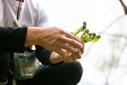 地域とともに息づく会社とは？——いせんが目指す生き方としての仕事